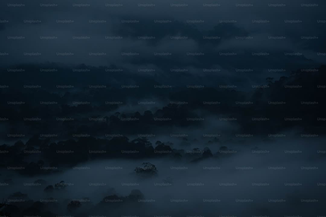 东方财富网关于展开“明亮清明浦江·网络直播范畴虚伪和低俗乱象整治”专项举动的公告